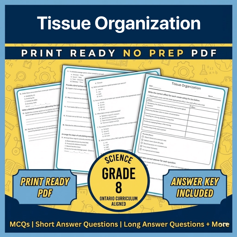 Grade 8 Science Worksheet | Tissue Organization – Ontario Standards (PDF)