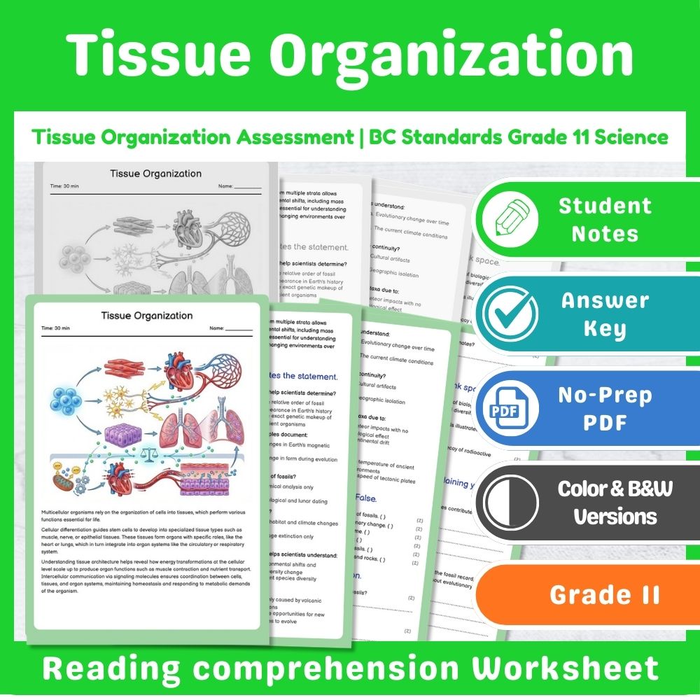 Grade 11 Science Lesson Assessment Bundle | Photosynthesis & Genetics — included worksheet 15