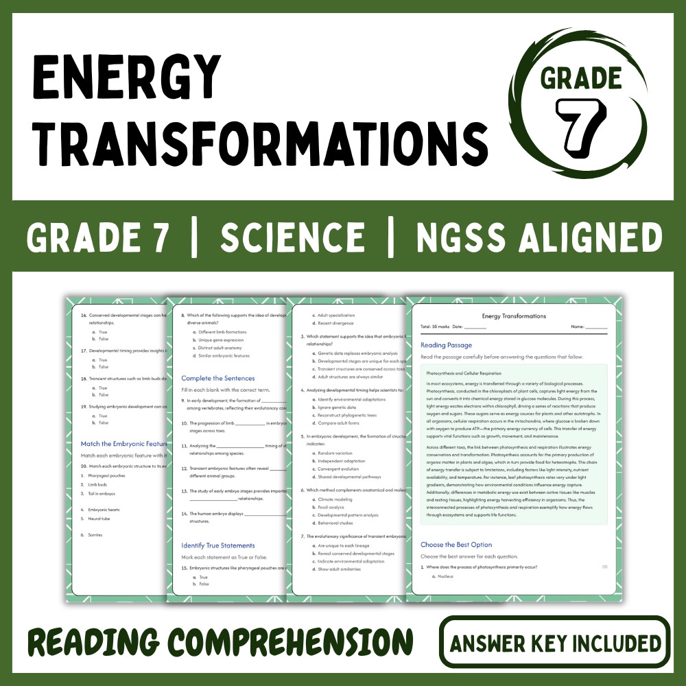 Grade 7 Science | Energy Transformations Worksheet (NGSS & Answer Key)