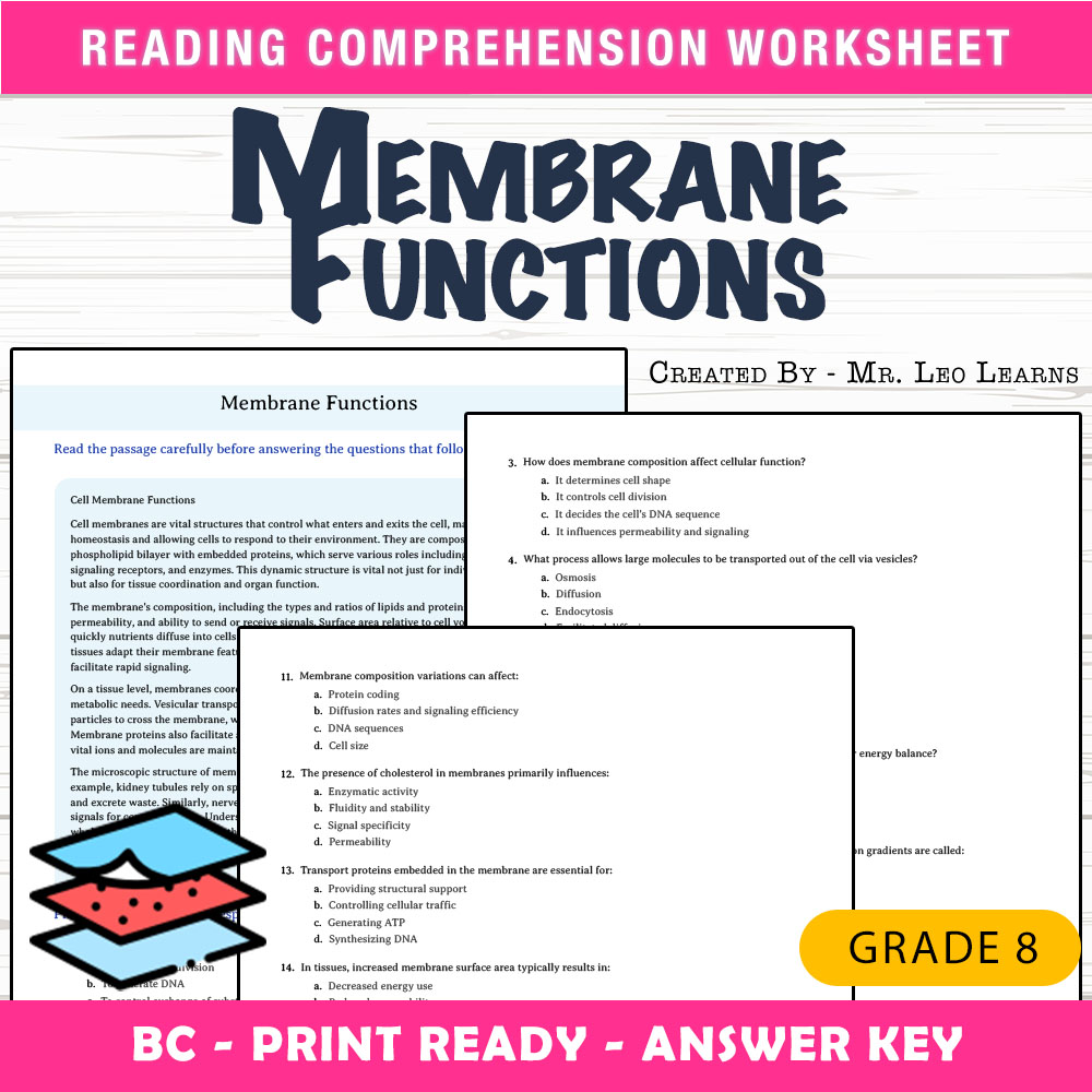 Grade 8 Science worksheet mcq paper worksheet — Grade 8 Science — Membrane Functions Worksheet MCQ Paper for Mastery — page 1