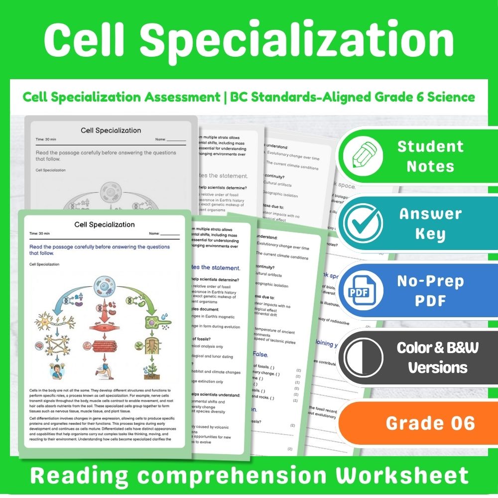 Grade 6 Science | Cell Structures & Systems Assessment – Standards-Aligned — included worksheet 13