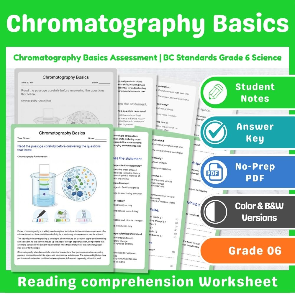 Grade 6 Science – Chemistry Assessment Mini Bundle | BC Standards-Aligned — included worksheet 15