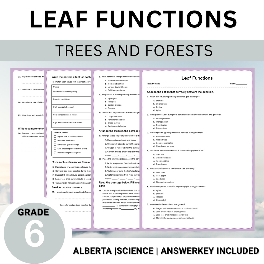 Grade 6 Science | Tree Anatomy, Ecology & Conservation Unit Worksheet Bundle — included worksheet 14