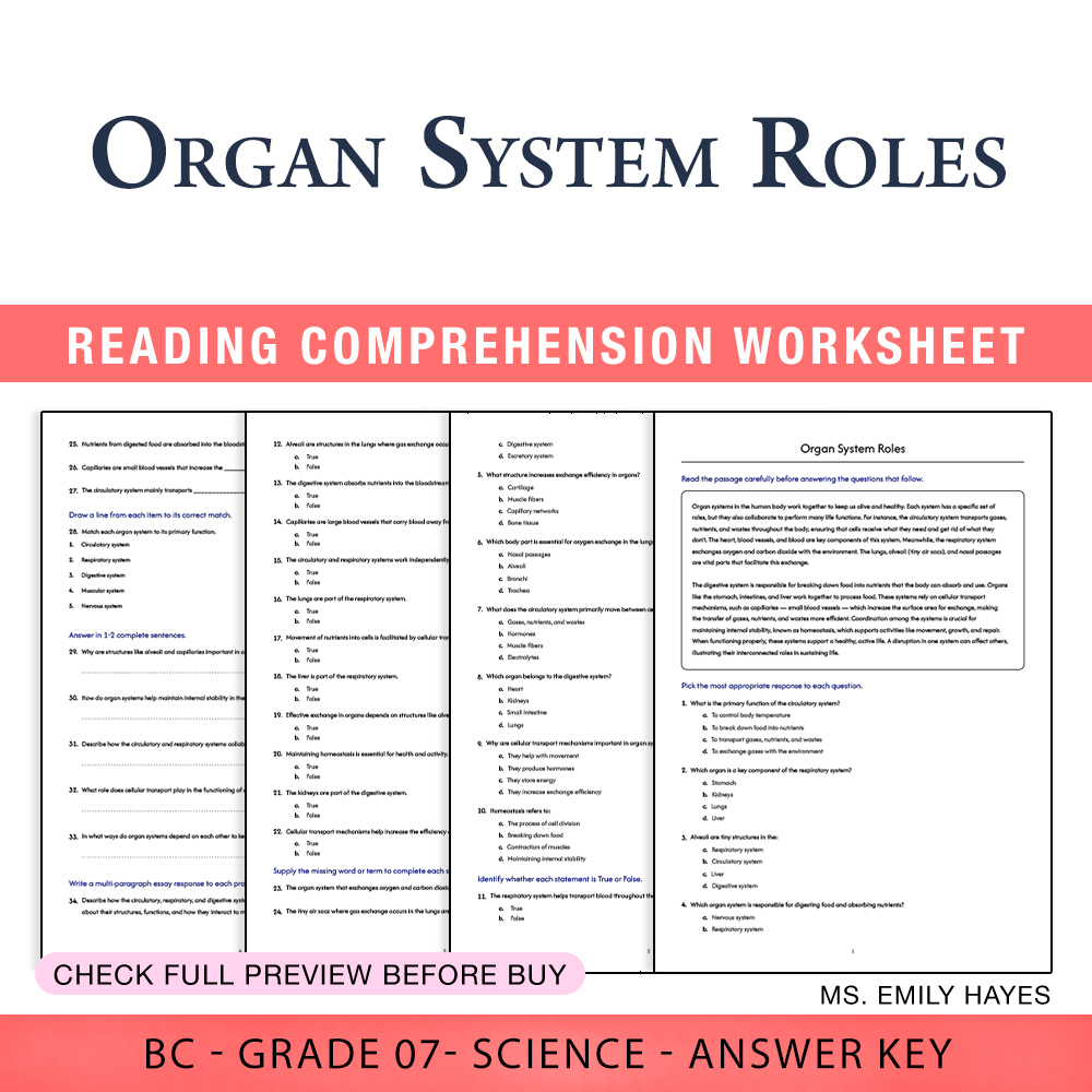Grade 7 Science worksheet worksheet — Grade 7 Science | Organ System Roles Worksheet (PDF+ Answer Key) — page 1