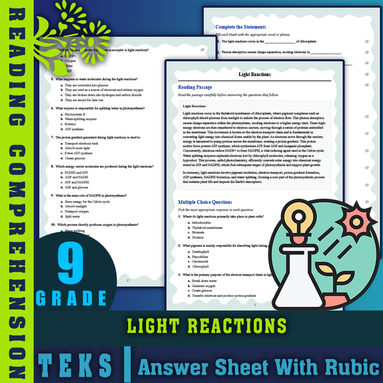 Grade 9 Science reading worksheets worksheet — Grade 9 Science | Light Reactions Reading Worksheet & Answer Key (PDF) — pa…