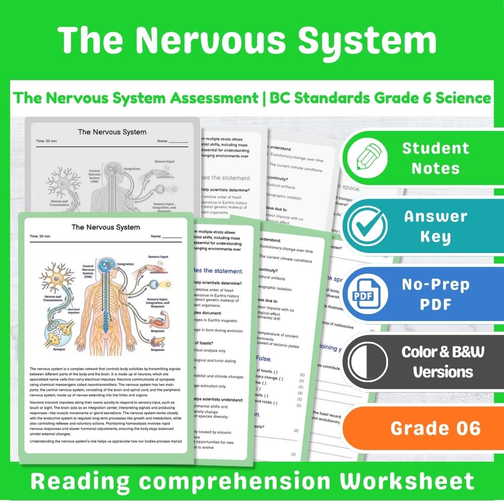 Grade 6 Science | Cell Structures & Systems Assessment – Standards-Aligned — included worksheet 14