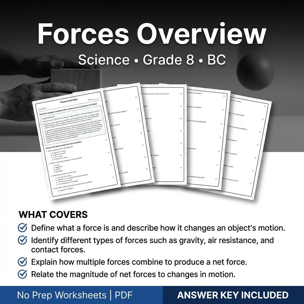 8th Grade Science | Forces Overview Worksheet & Answer Key (PDF)