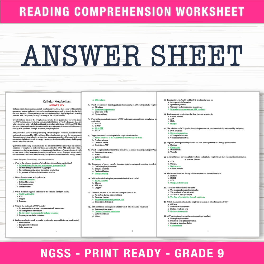 Grade 9 Science worksheet worksheet — Grade 9 Science | Cellular Metabolism Worksheet (PDF + Answer Key) — page 2