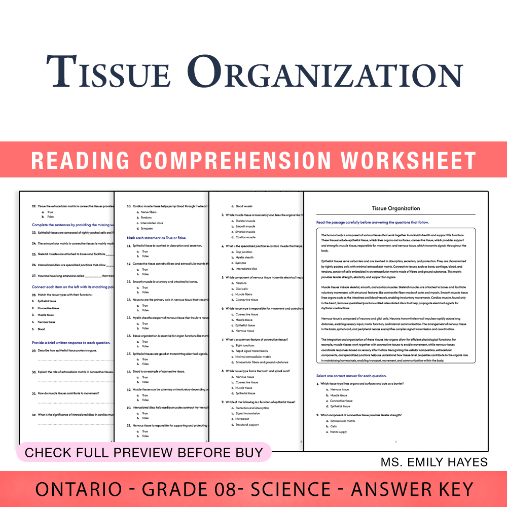Grade 8 Science worksheet worksheet — 8th Grade Science | Tissue Organization Worksheet (PDF+ Answer Key) — page 1