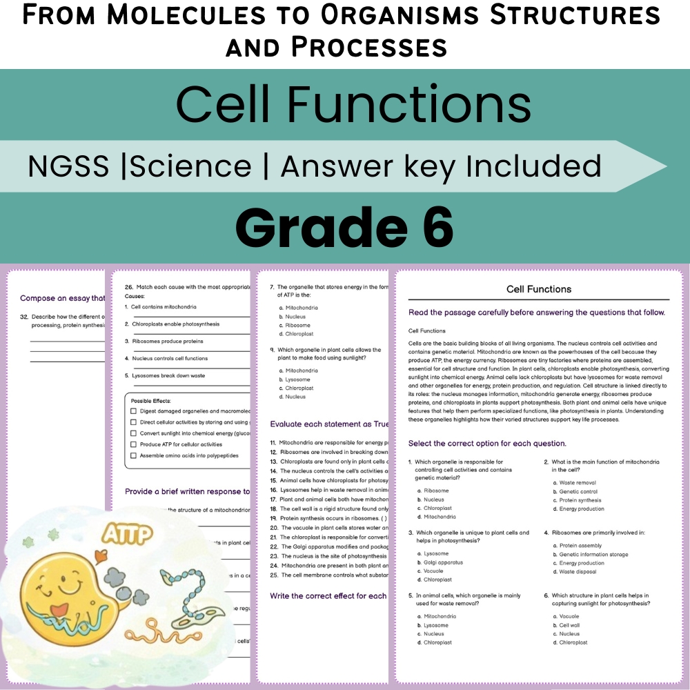 Grade 6 Science NGSS Worksheet Bundle | Comprehensive STEM Practice Pack — included worksheet 42