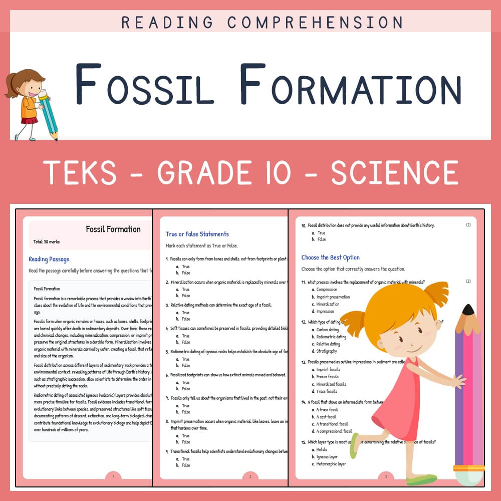Grade 10 Science worksheet elena worksheet — Grade 10 Science ‍| Fossil Formation Worksheet | TEKS Aligned — page 1