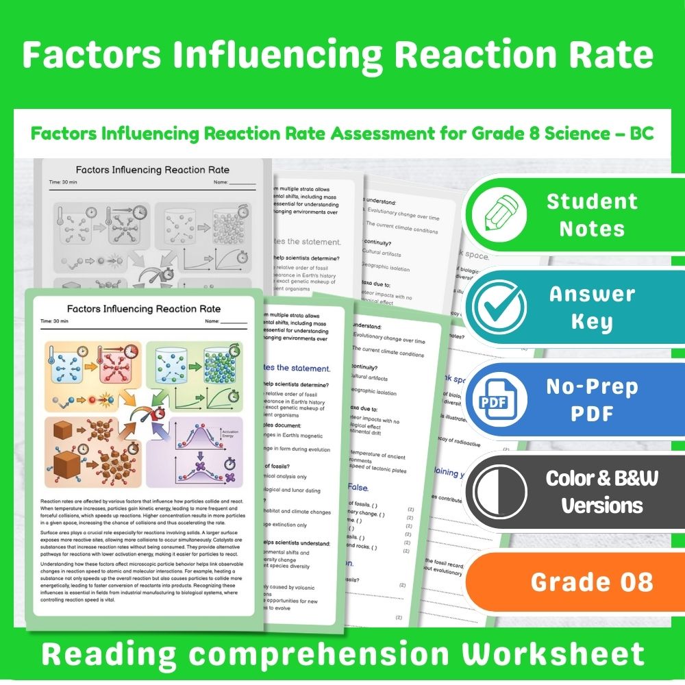 Grade 8 Science Lesson – Reaction Types & Evidence Assessment Bundle — included worksheet 13