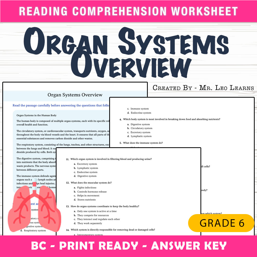 Grade 6 Science worksheet mcq paper worksheet — Grade 6 Science — Organ Systems Overview Worksheet MCQ Paper for Mastery —…