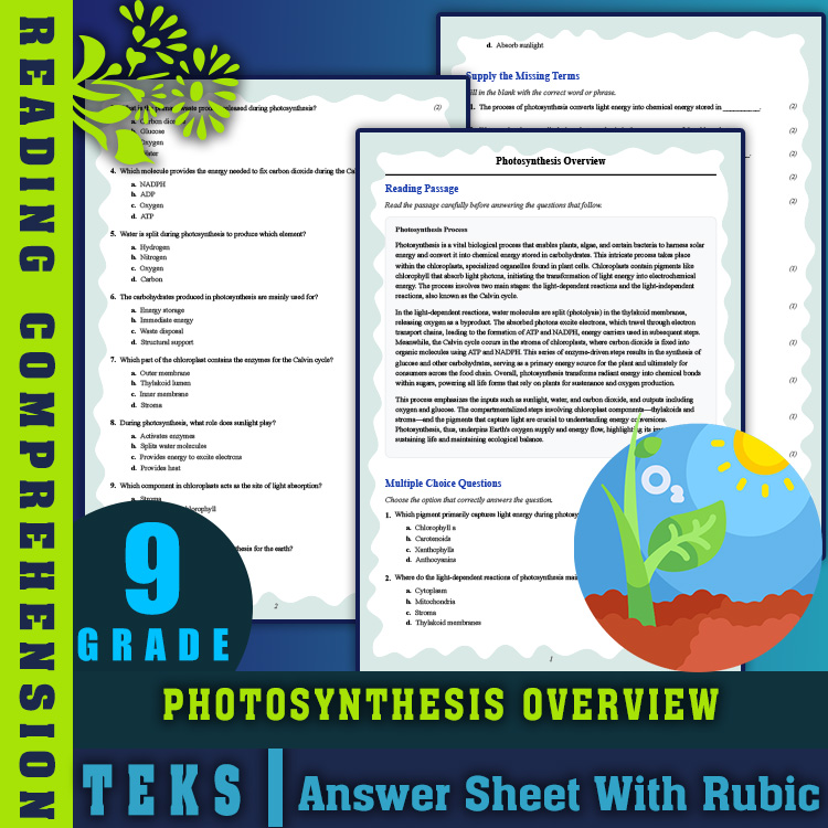Grade 9 Science reading worksheets worksheet — 9th Grade Science | Photosynthesis Overview Reading Worksheet (PDF + Answer…