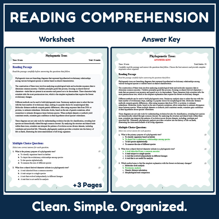Grade 9 Science reading worksheets worksheet — 9th Grade Science | Phylogenetic Trees Reading Worksheet & Answer Key — page 2