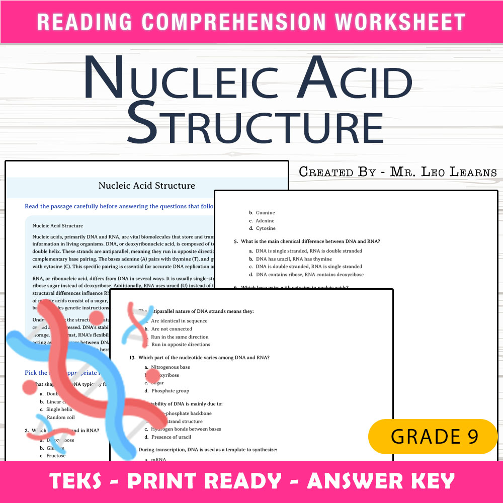 Grade 9 Science worksheet worksheet — Grade 9 Science — Nucleic Acid Structure Worksheet for Mastering DNA & RNA — page 1