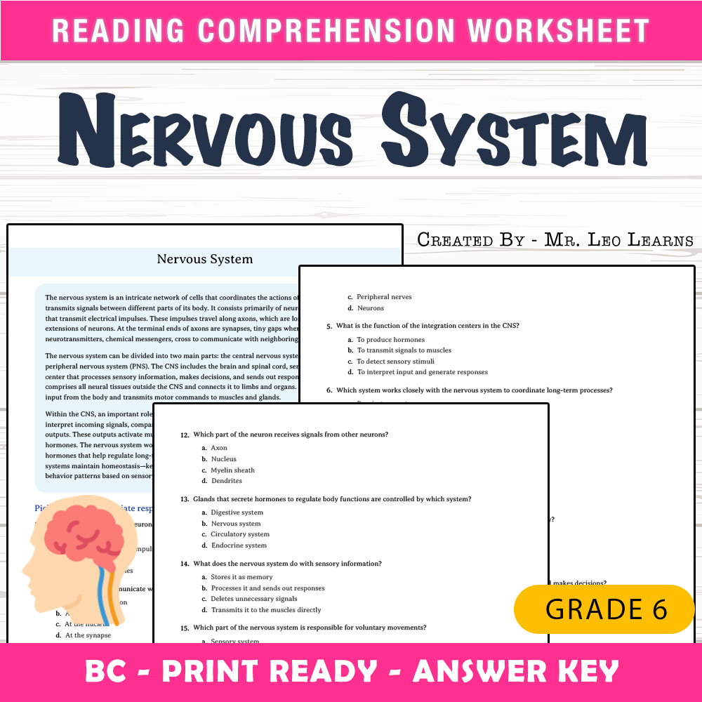 Grade 6 Science worksheet mcq paper worksheet — Grade 6 Science | Nervous System MCQ Worksheet for Practice — page 1