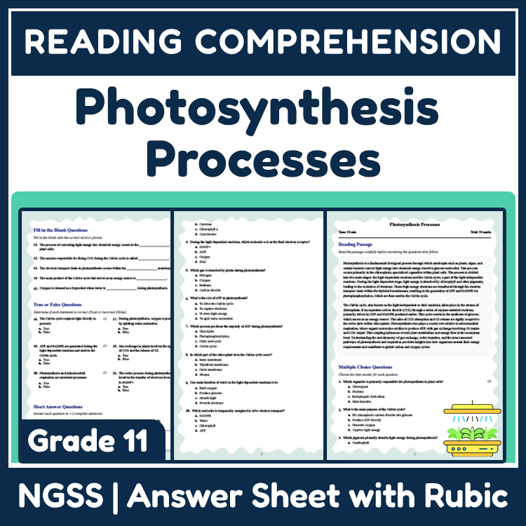 Grade 11 Science reading worksheets worksheet — Grade 11 Science | Photosynthesis Processes Reading Worksheet & Answer Key…