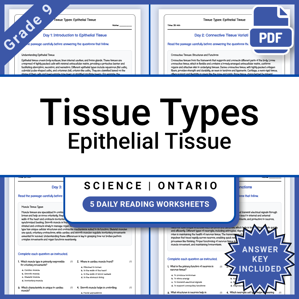 Grade 9 Science Lesson Group | Human Body Systems, Environment & Energy — included worksheet 14