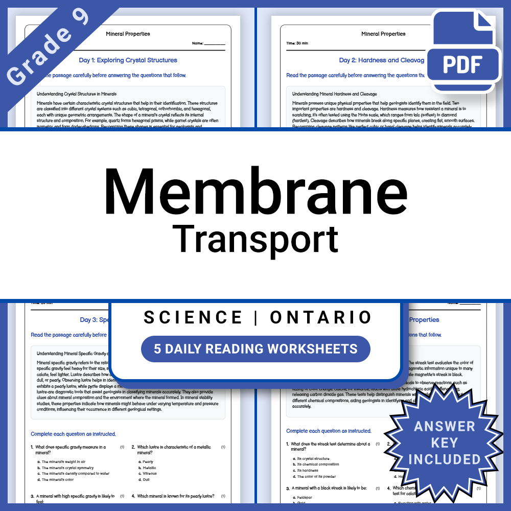Grade 9 Science Lesson Group | Human Body Systems, Environment & Energy — included worksheet 15