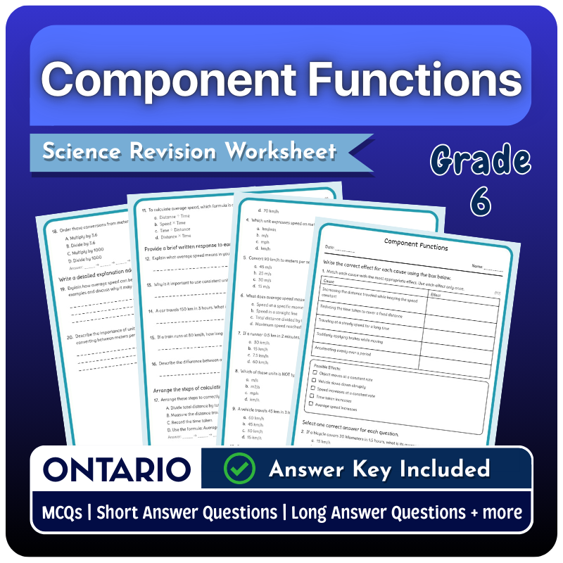 Grade 6 Science | Component Functions Worksheet (Ontario | PDF)