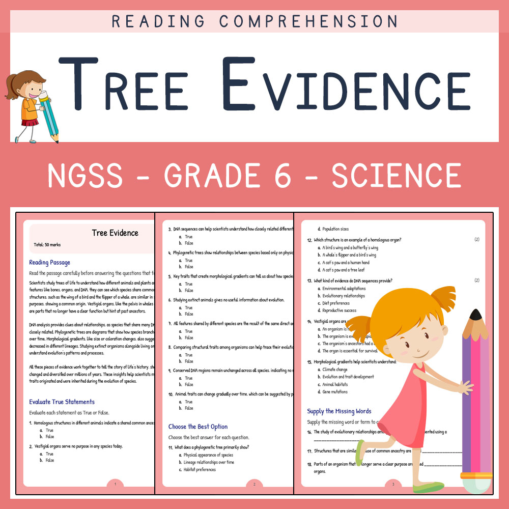 Grade 6 Science worksheets for primary grades worksheet — Grade 6 Science | Tree Evidence Worksheet (PDF) | NGSS Aligned —…