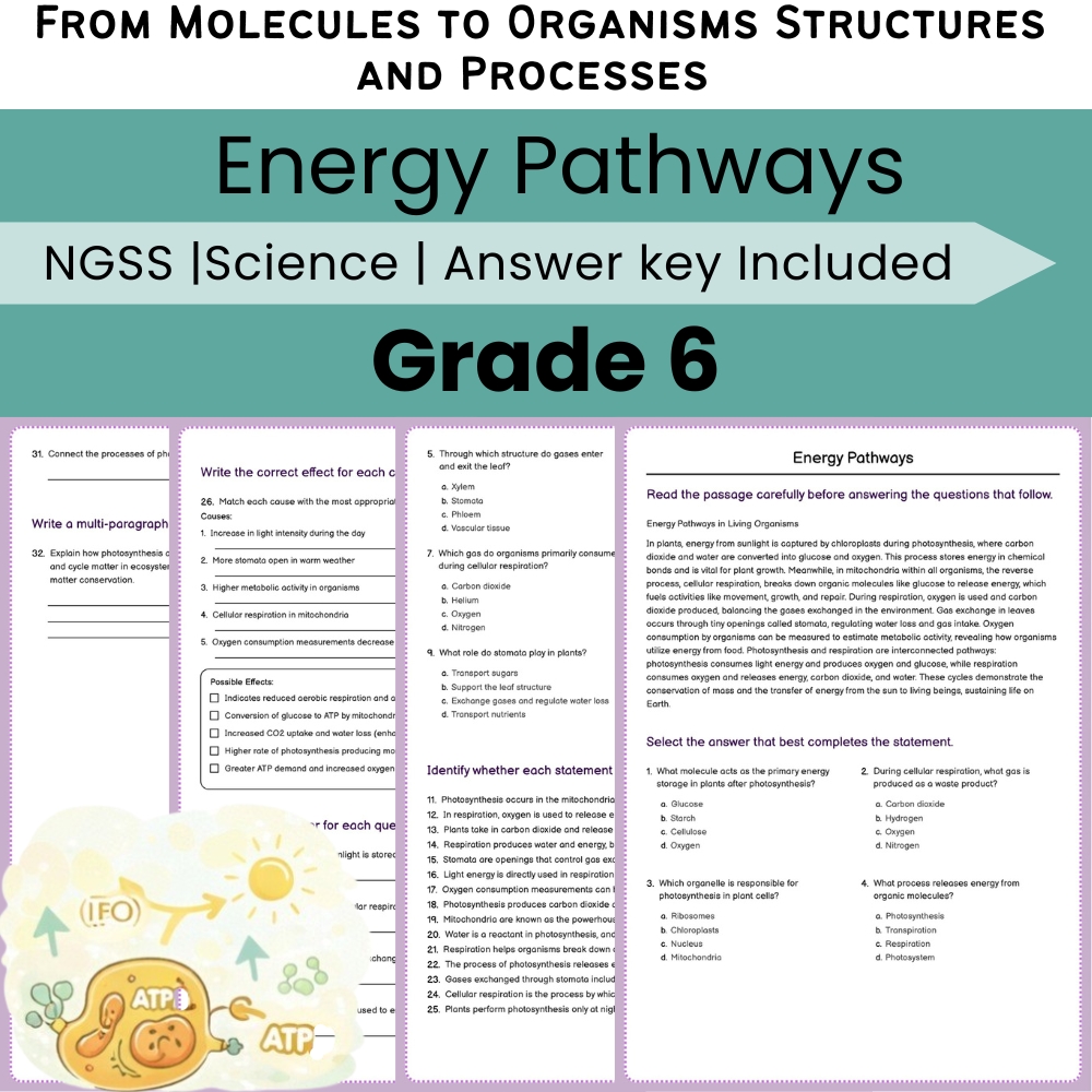 Grade 6 Science NGSS Worksheet Bundle | Comprehensive STEM Practice Pack — included worksheet 43