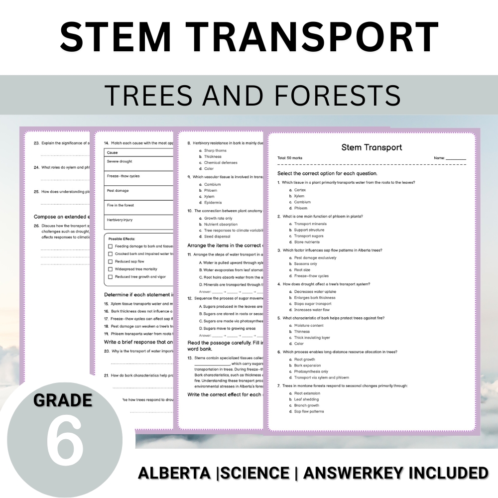 Grade 6 Science | Tree Anatomy, Ecology & Conservation Unit Worksheet Bundle — included worksheet 15