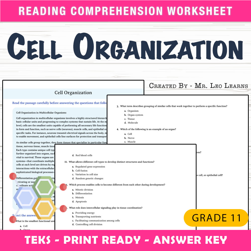Grade 11 Science worksheet worksheet — Grade 11 Science | Cell Organization Worksheet for Mastery — page 1