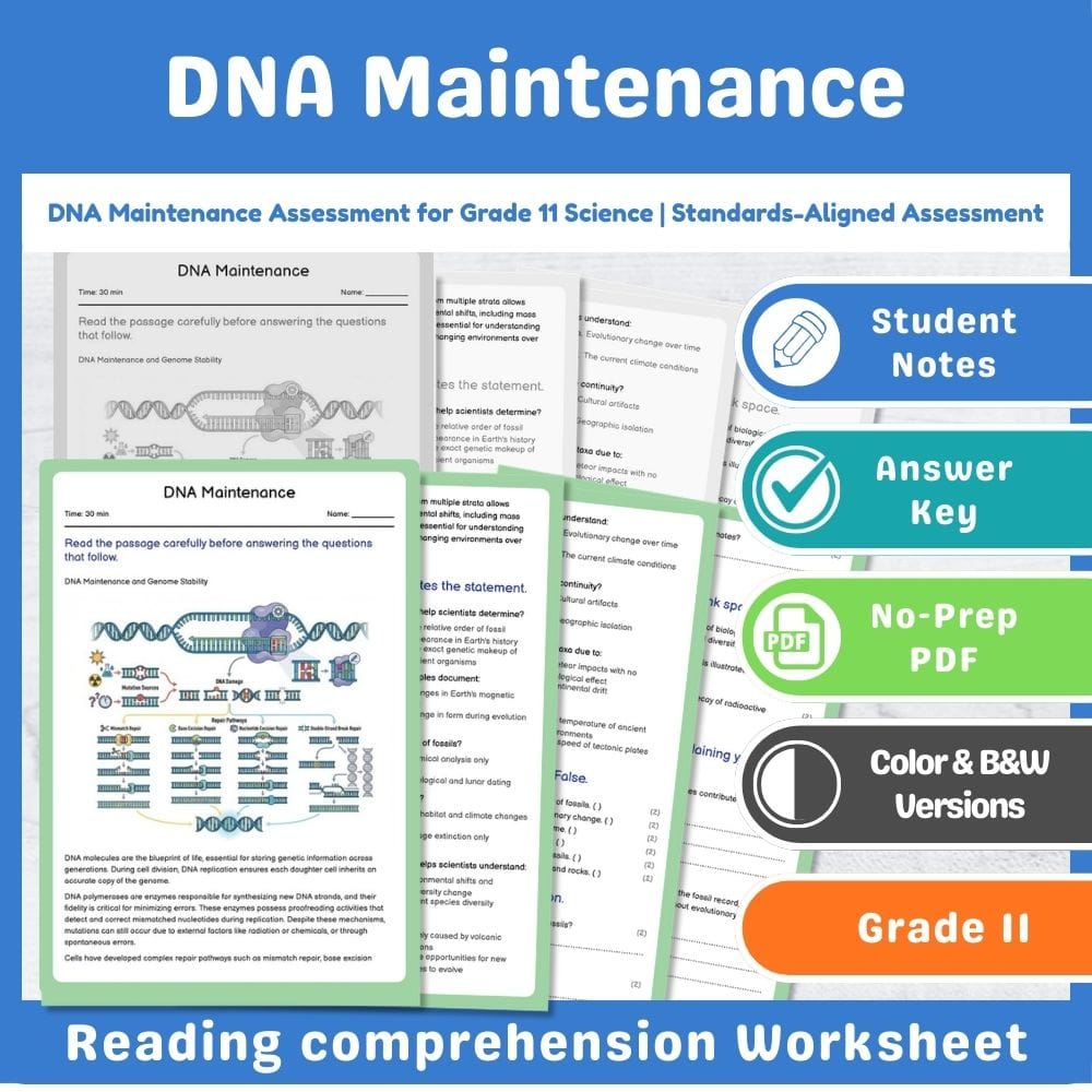 Grade 11 Science assessment worksheet — DNA Maintenance Assessment for Grade 11 Science | Standards-Aligned Assessment — p…