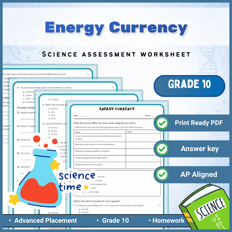 Grade 10 Science | Energy Currency Worksheet (AP) – Science 1 PDF