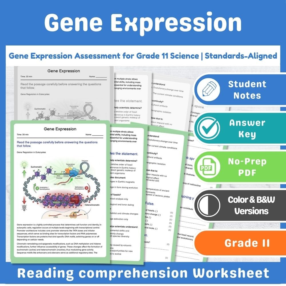 Grade 11 Science assessment worksheet — Gene Expression Assessment for Grade 11 Science | Standards-Aligned — page 1