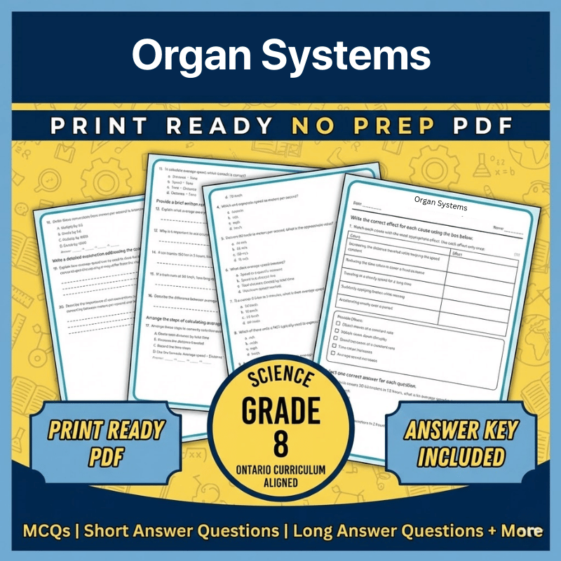 Grade 8 Science | Organ Systems Worksheet (Ontario, Science 1) (PDF)