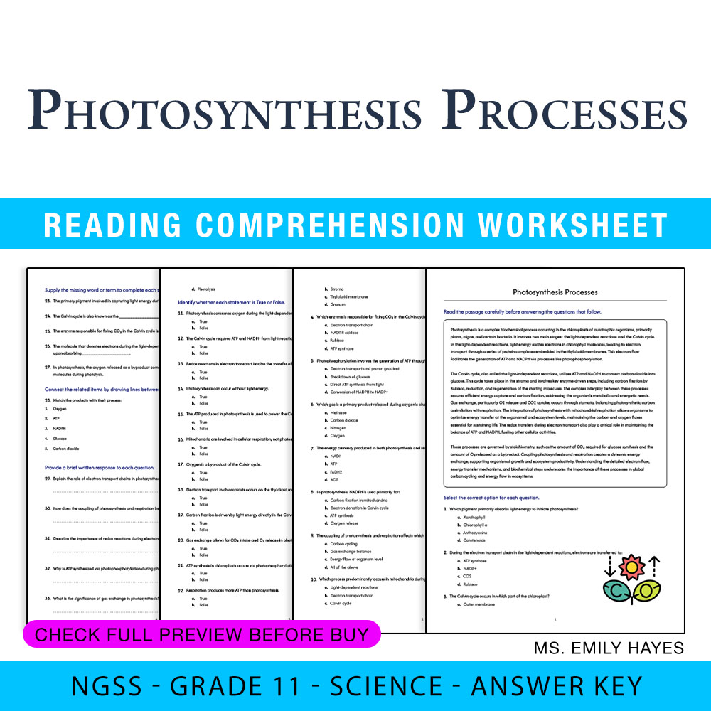 Grade 11 Science worksheet worksheet — 11th Grade Science | Photosynthesis Processes Worksheet (PDF + Answer Key) — page 1