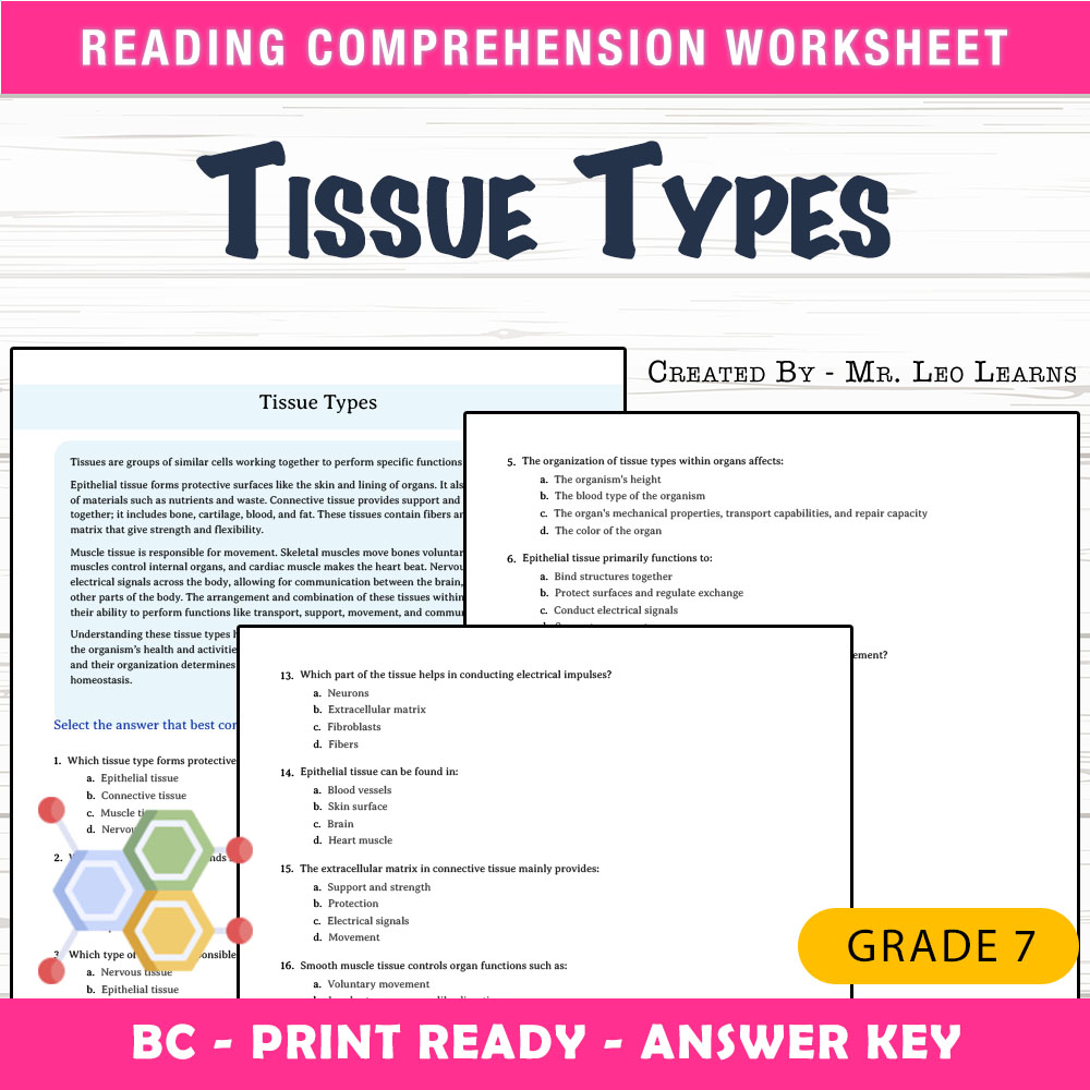Grade 7 Science worksheet mcq paper worksheet — Grade 7 Science — Tissue Types Worksheet MCQ Paper for Mastery — page 1