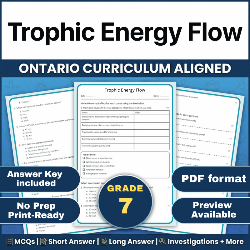 Grade 7 Science | Trophic Energy Flow Worksheet (Ontario) - PDF
