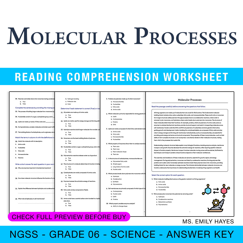 Grade 6 Science worksheet worksheet — 6th Grade Science | Molecular Processes Worksheet (PDF + Answer Key) — page 1