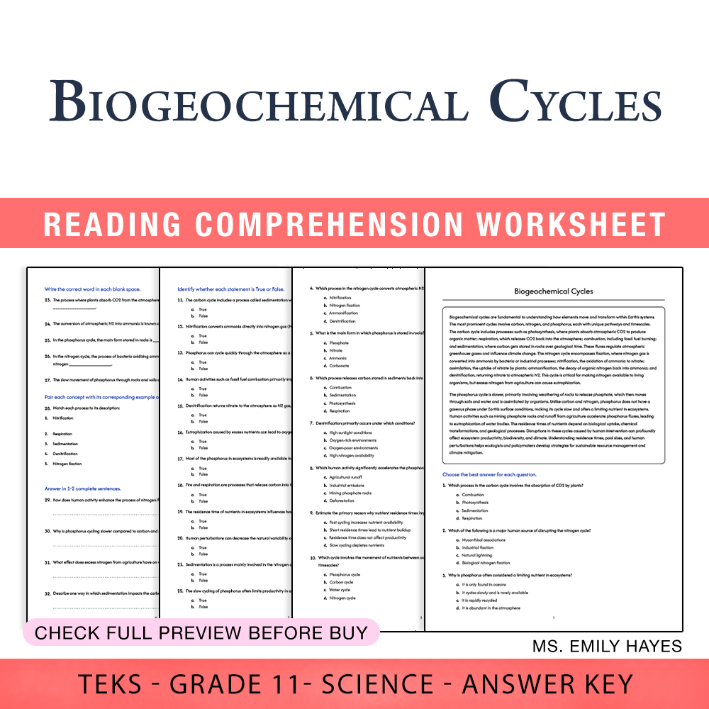 Grade 11 Science worksheet worksheet — 11th Grade Science | Biogeochemical Cycles Worksheet (PDF+ Answer Key) — page 1