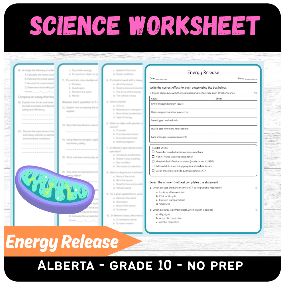 Grade 10 Science – Energy Release Worksheet (PDF) | Alberta Standards