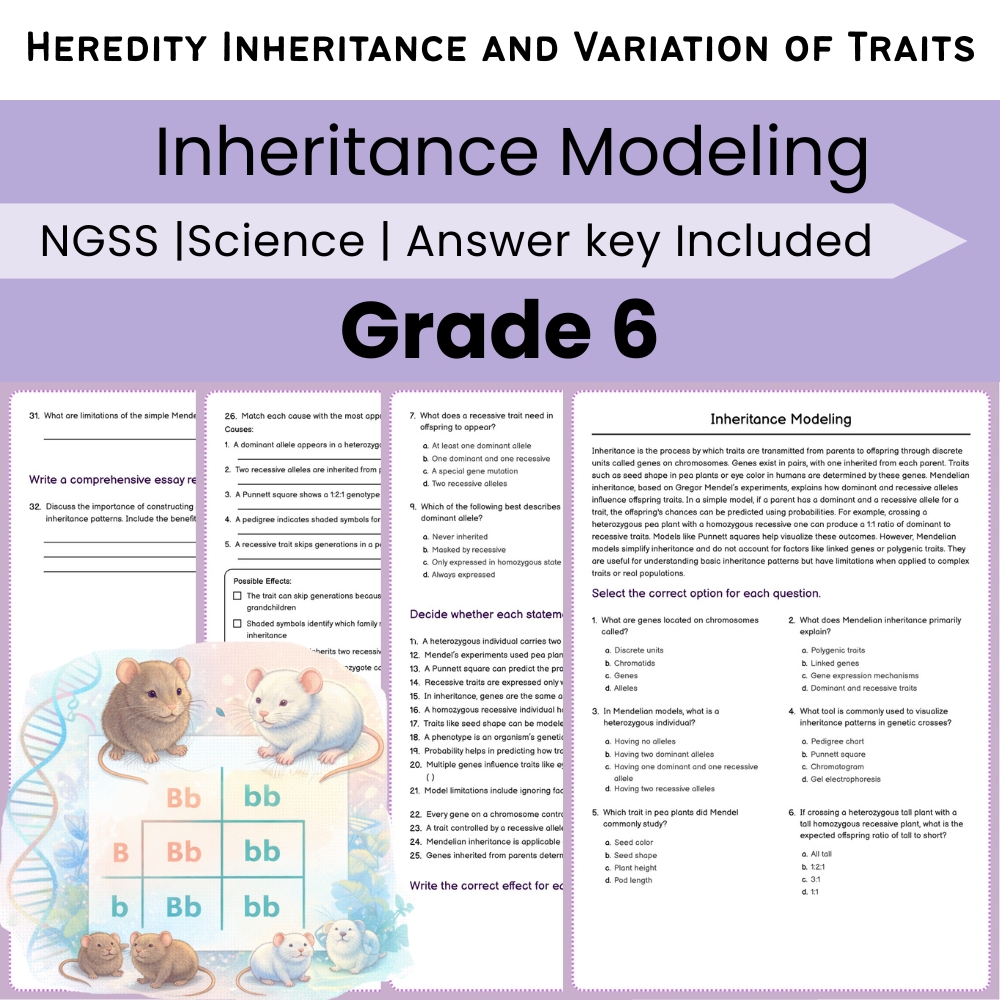 Grade 6 Science NGSS Worksheet Bundle | Comprehensive STEM Practice Pack — included worksheet 44