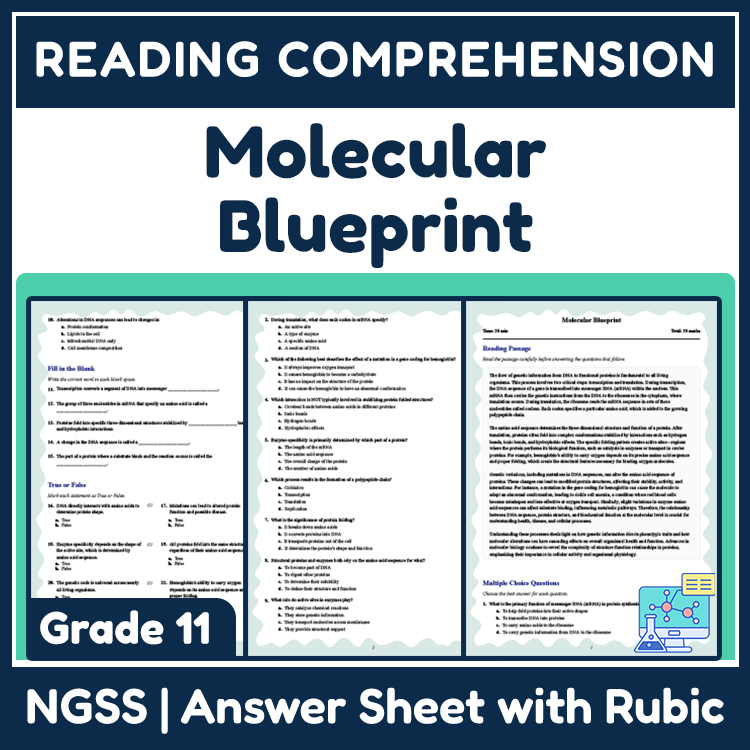 Grade 11 Science reading worksheets worksheet — 11th Grade Science | Molecular Blueprint Reading Worksheet (PDF + Answer K…
