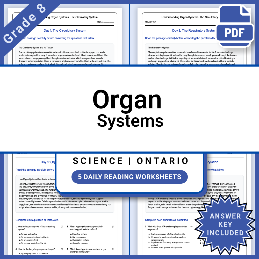 Grade 8 Science Full Year Curriculum Bundle | Water Systems & Energy — included worksheet 58