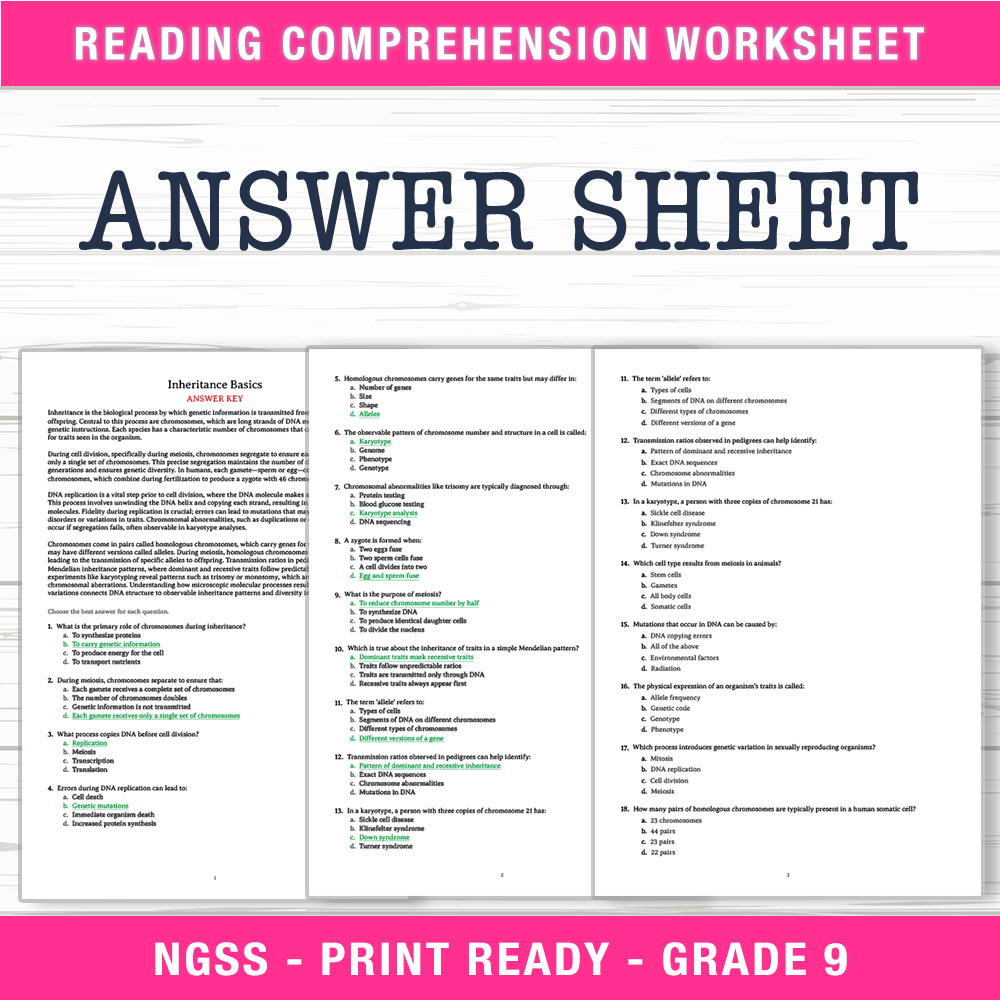 Grade 9 Science worksheet worksheet — Grade 9 Science – Inheritance Basics Worksheet (PDF + Answer Key) — page 2