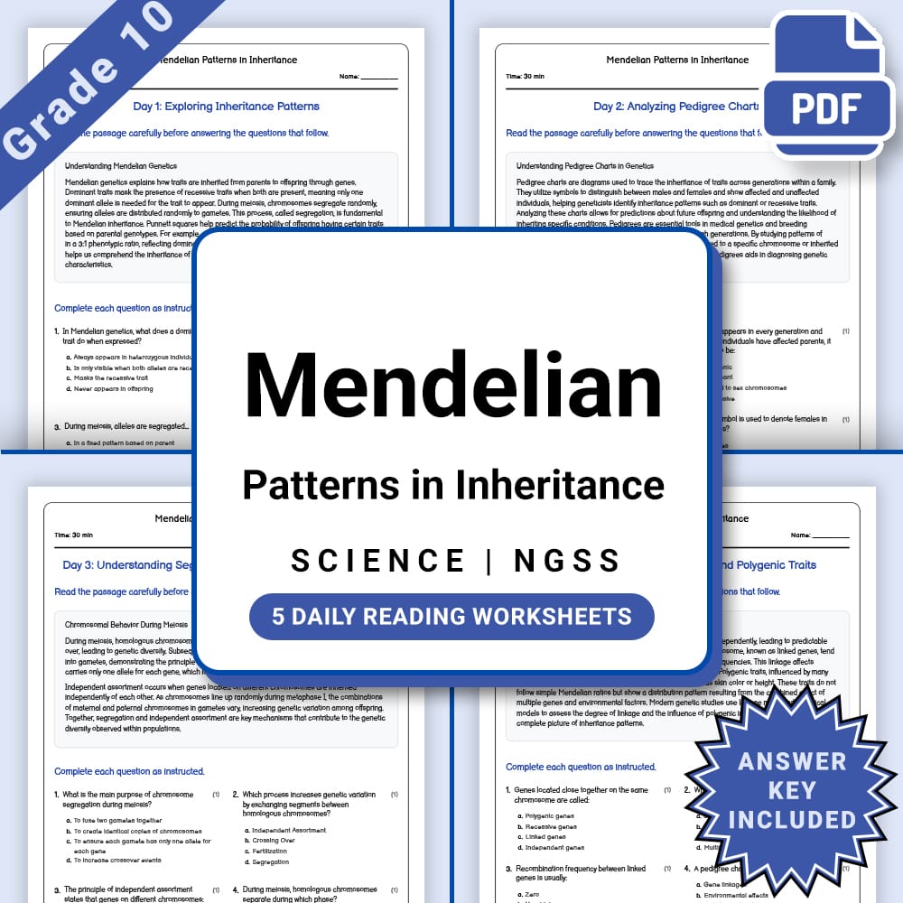 Grade 10 Science daily reading worksheet worksheet — Grade 10 Science – Mendelian Patterns Worksheet (PDF +Answer Key) — p…
