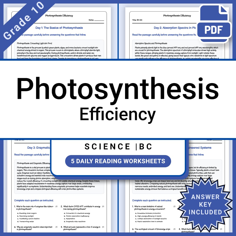 Grade 10 Science Full Year Curriculum Bundle | Physics, Genetics & Core Concepts — included worksheet 59