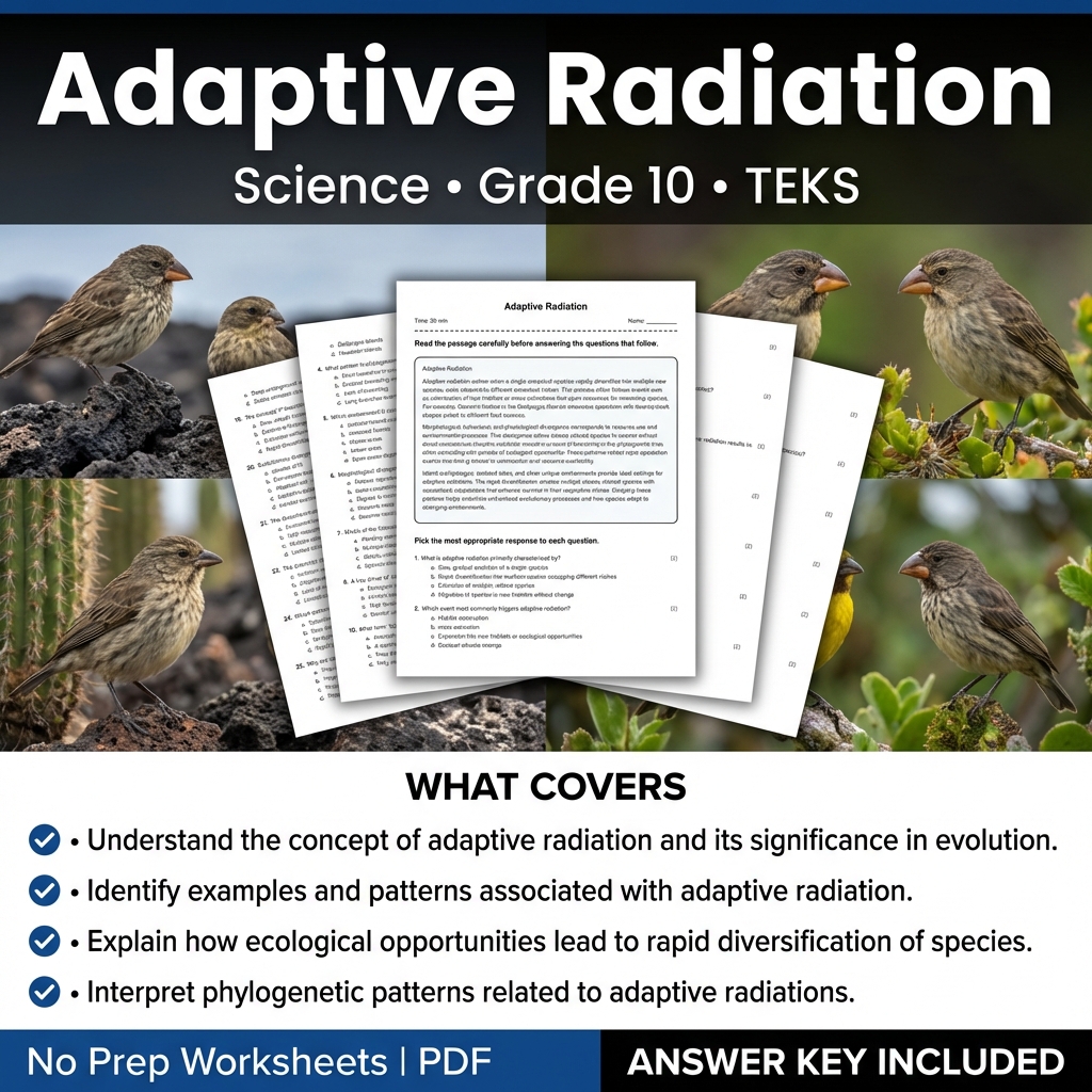 Adaptive Radiation Worksheet for Grade 10 Science | TEKS Aligned
