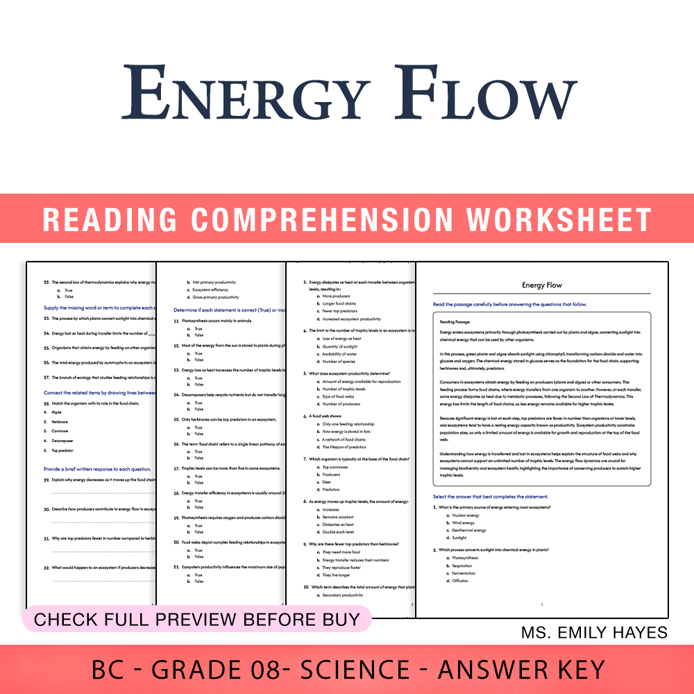 Grade 8 Science worksheet worksheet — 8th Grade Science | Energy Flow Worksheet (PDF+ Answer Key) — page 1