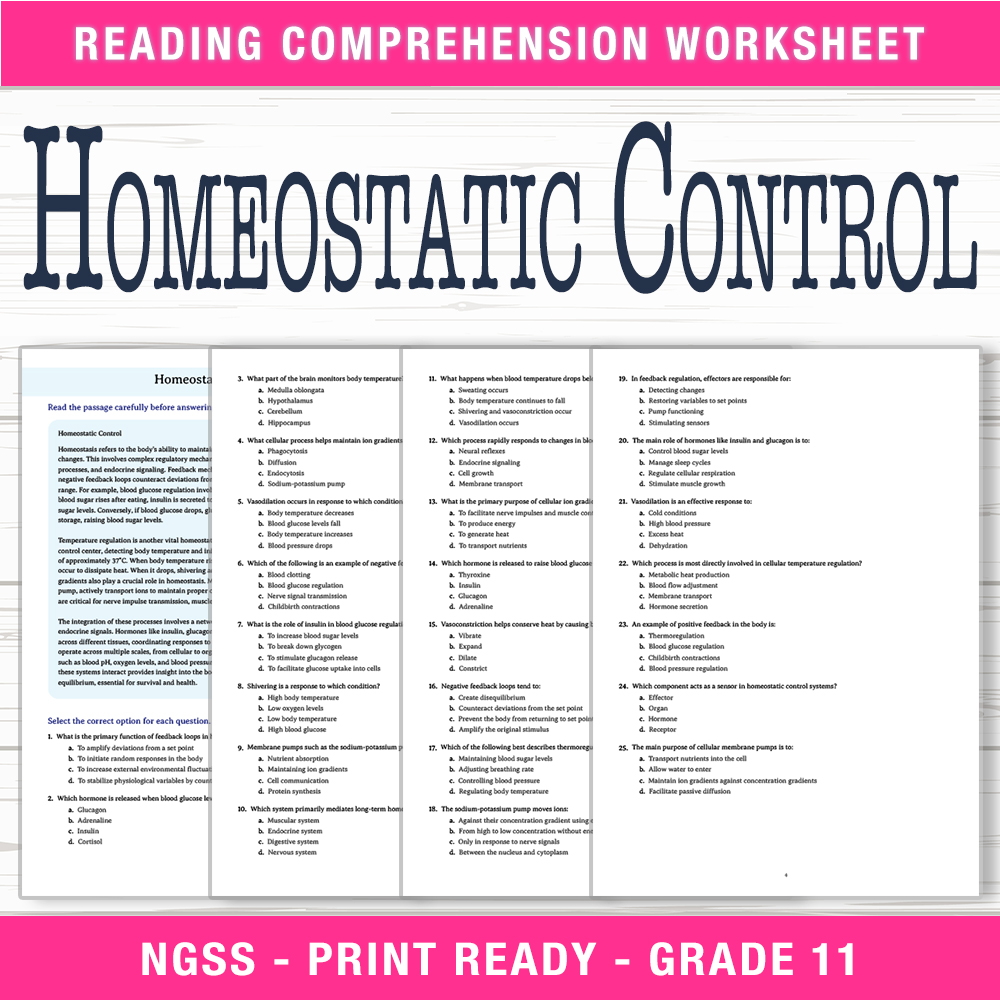 Grade 11 Science worksheet worksheet — Grade 11 Science | Homeostatic Control Worksheet (PDF +  Answer Key) — page 1