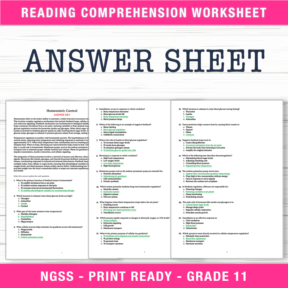Grade 11 Science worksheet worksheet — Grade 11 Science | Homeostatic Control Worksheet (PDF +  Answer Key) — page 2