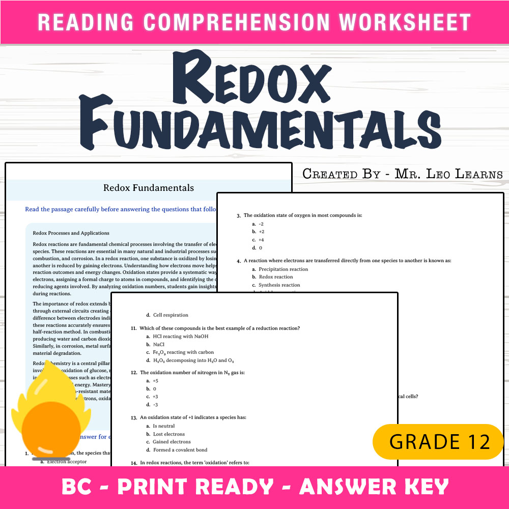 Grade 12 Science worksheet mcq paper worksheet — Grade 12 Science — Redox Fundamentals Worksheet MCQ Paper — page 1